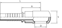 BSPP Banjo