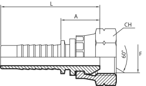 Metric Female 60° cone