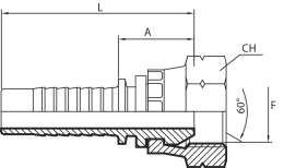 Metric Female 60° cone