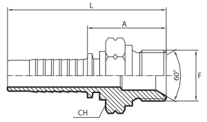 Metric male 60° cone