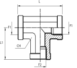 Tee fixed female Adaptor BSPP
