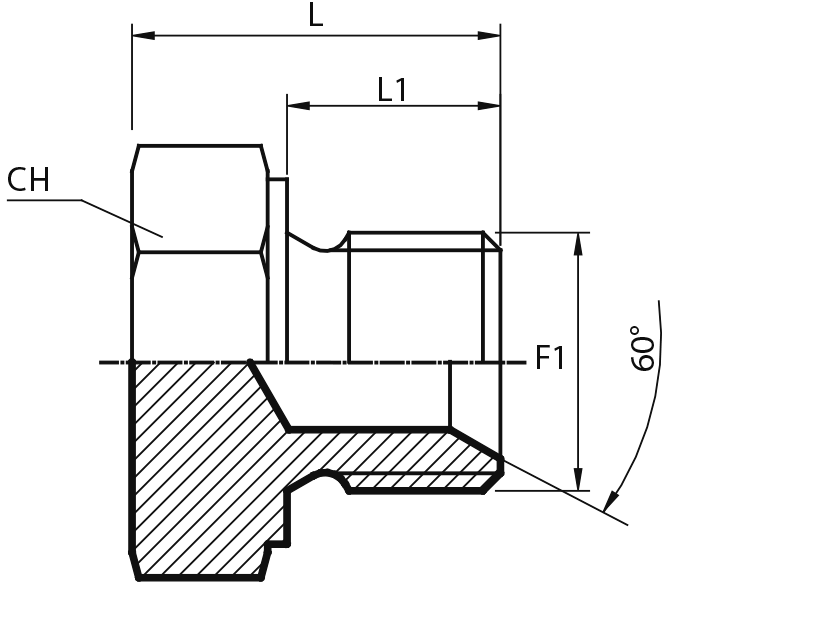 Male Plug BSPP