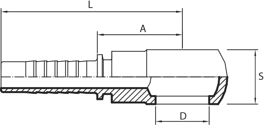 BSPP Banjo