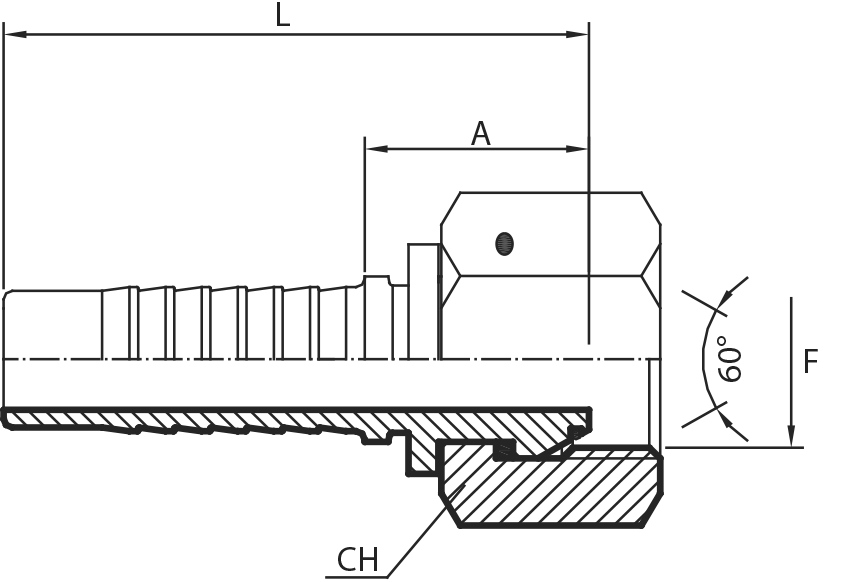 BSPP O-ring straight Female 60° cone (thrust-wire nut)