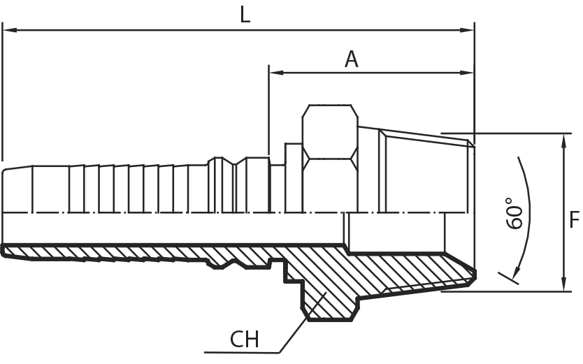 BSPT Male 60° cone - INTERLOCK