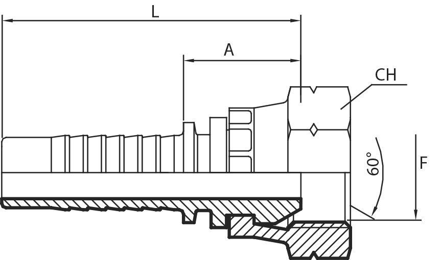 Metric Female 60° cone